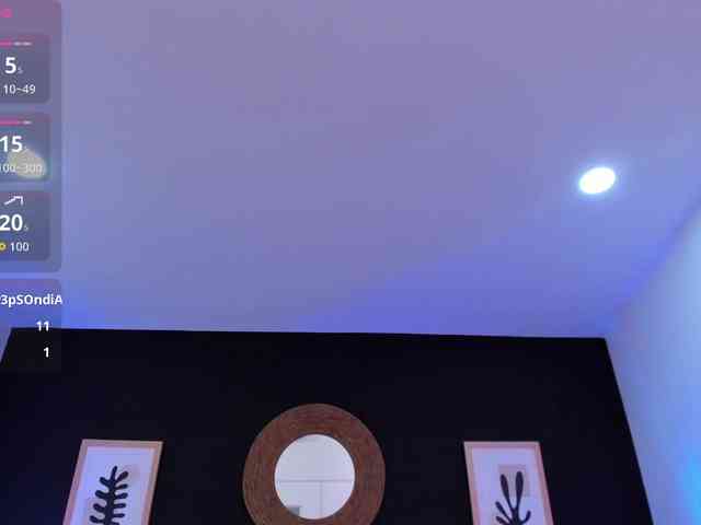 VioletPaket VioletPaket