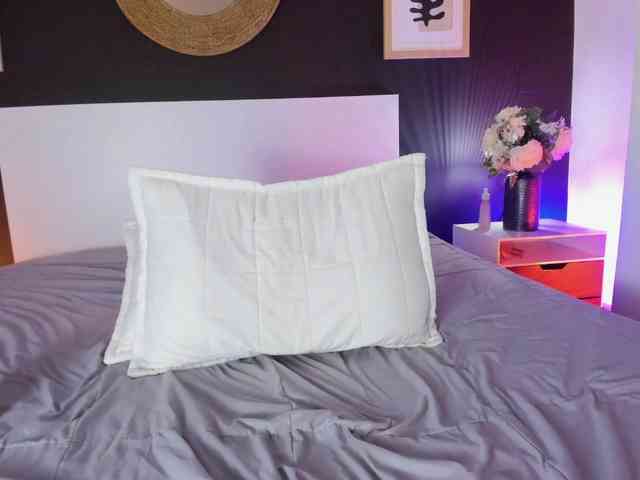 VioletPaket VioletPaket