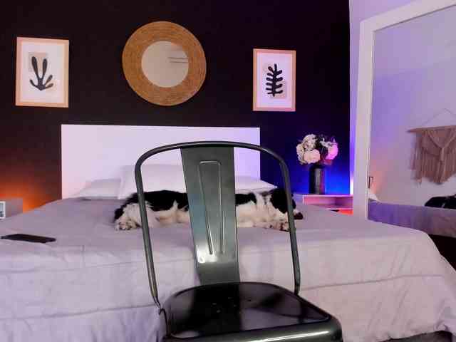 VioletPaket VioletPaket