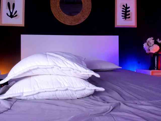 VioletPaket VioletPaket