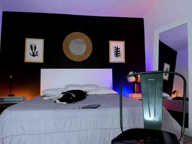 VioletPaket VioletPaket