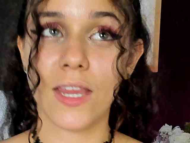 VioletPaket VioletPaket