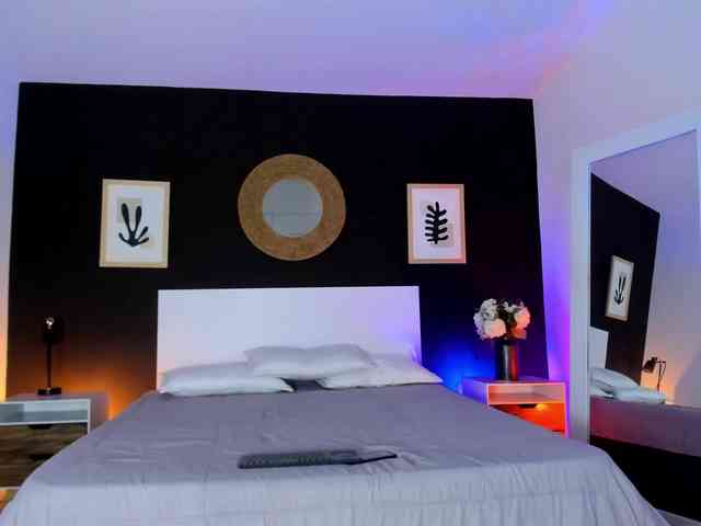 VioletPaket VioletPaket