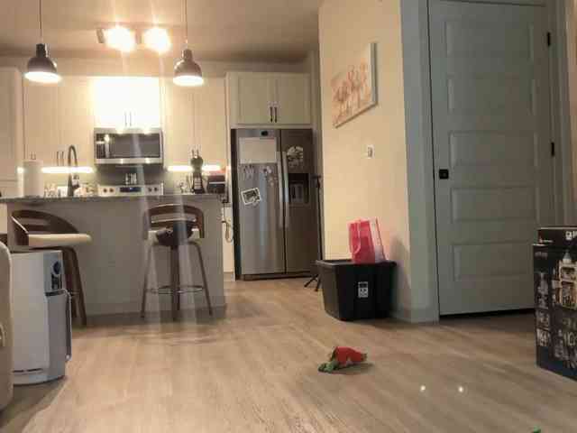 TheRosieCheeks webcam