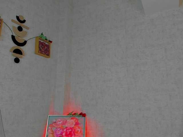 Preview of carlaposh