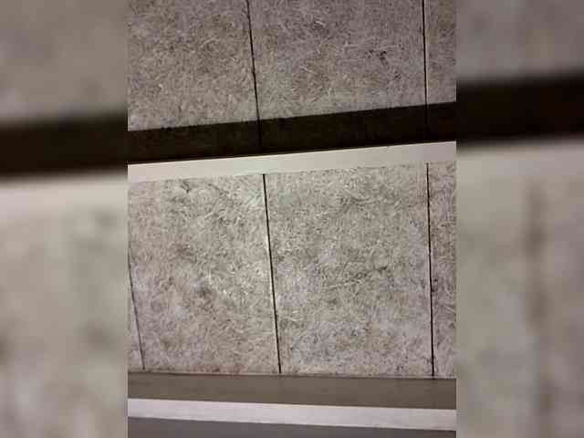 Funinthesun33 Funinthesun33