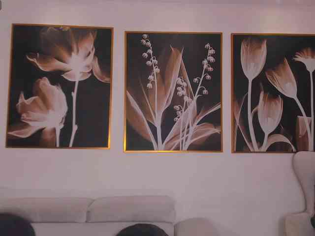 VenusClaire VenusClaire