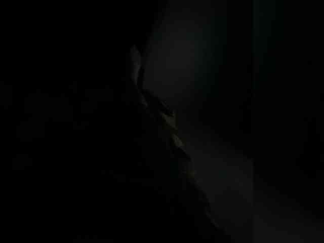 Djckcfkrne Djckcfkrne