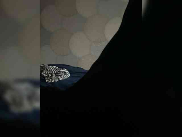 Djckcfkrne Djckcfkrne