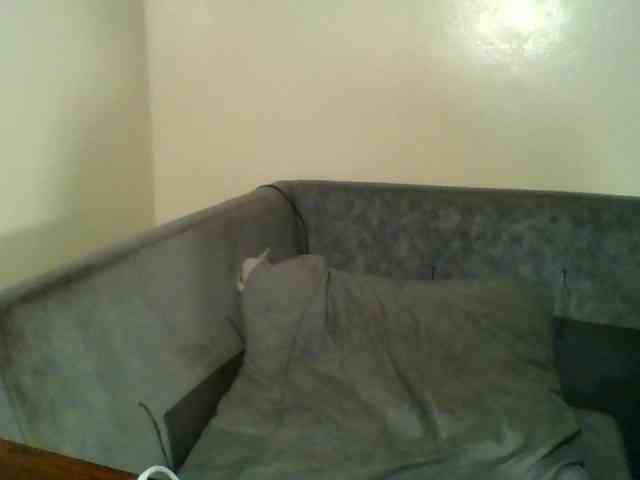 Juggle-assie Juggle-assie