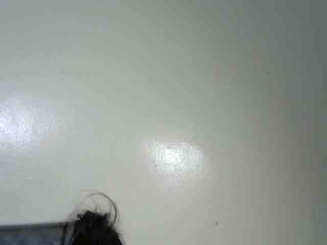 Juggle-assie Juggle-assie