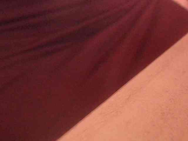 sallye webcam