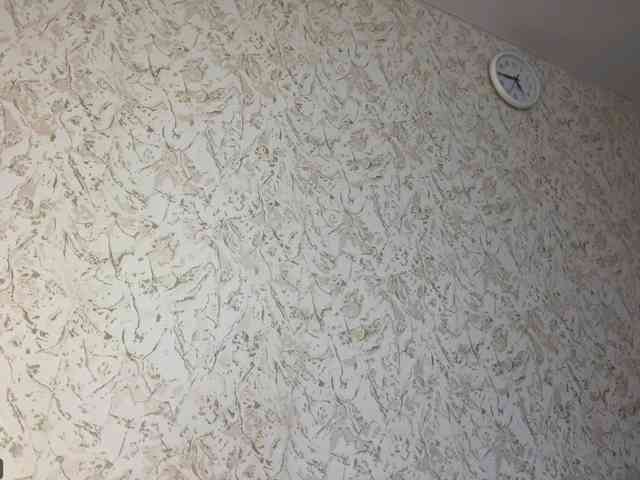 YaelHelverson YaelHelverson