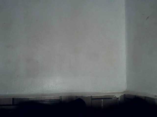 Sinfulbitch's BongaCams show and profile