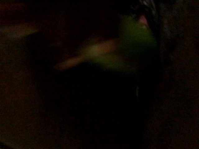 Juicybooty from BongaCams is Freechat