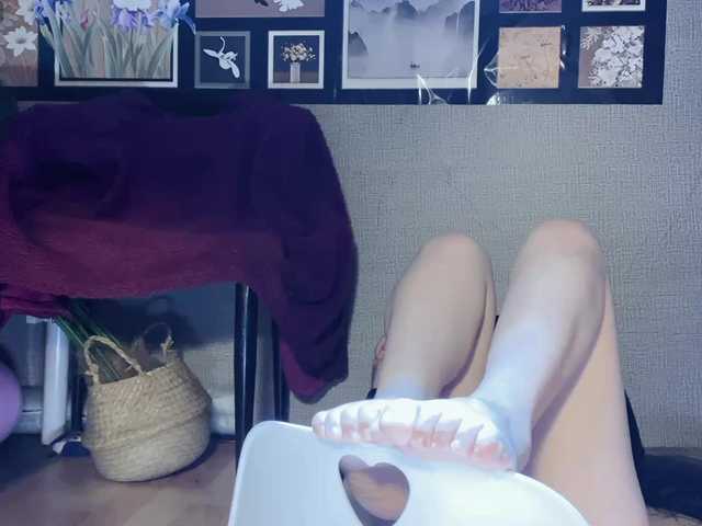 foxsusu's BongaCams show and profile