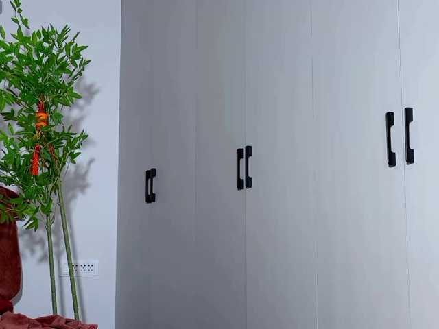 foxsusu's BongaCams show and profile