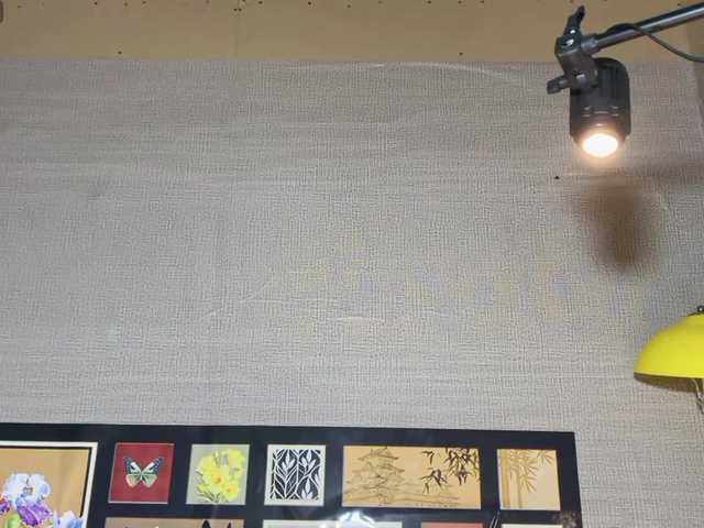 foxsusu's BongaCams show and profile