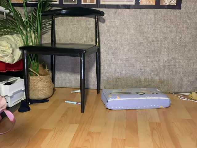 foxsusu's BongaCams show and profile