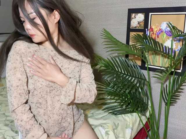 foxsusu's BongaCams show and profile