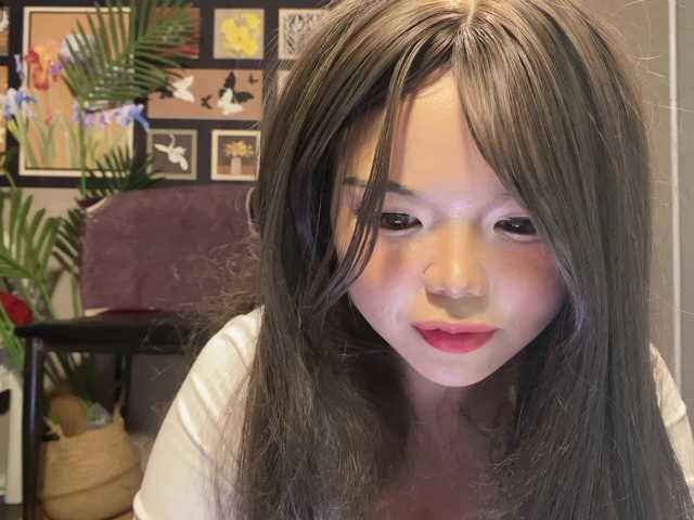 foxsusu's BongaCams show and profile