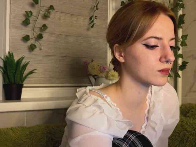 -LisaMeow- -LisaMeow-