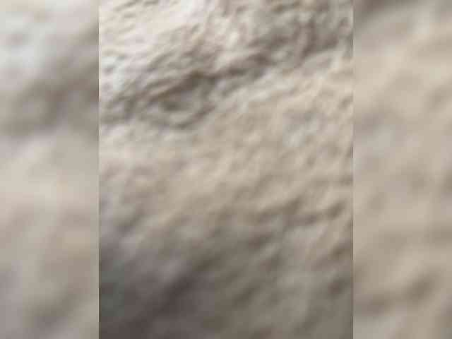 blazerrrr04 blazerrrr04