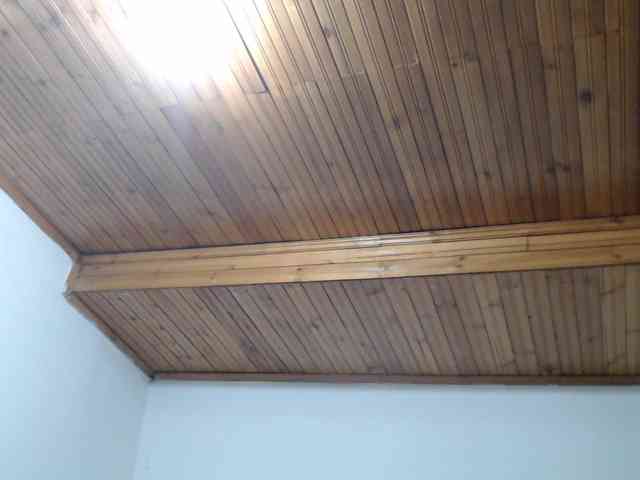 adelen-smith Live Webcam on BongaCams