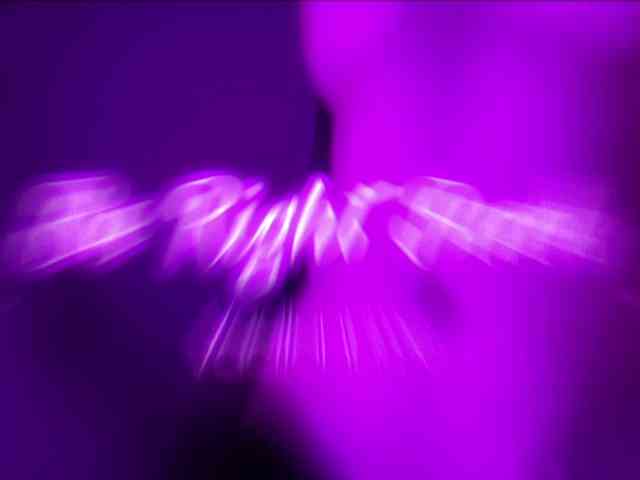 VacilonLime VacilonLime