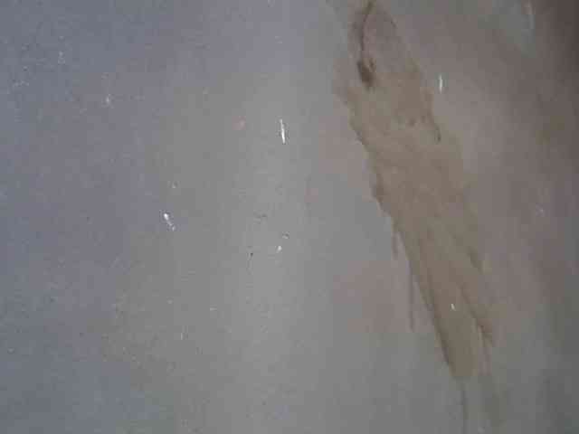 chrispriscilla webcam