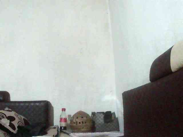 chrispriscilla webcam