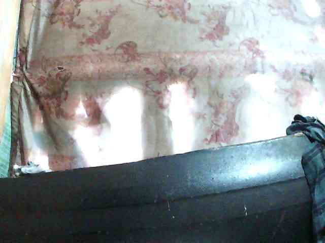 chrispriscilla webcam