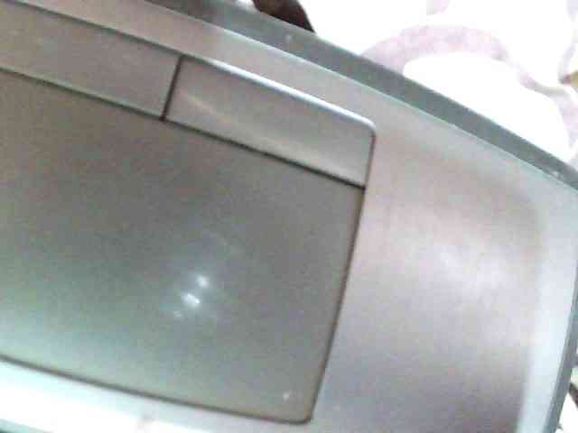 chrispriscilla webcam