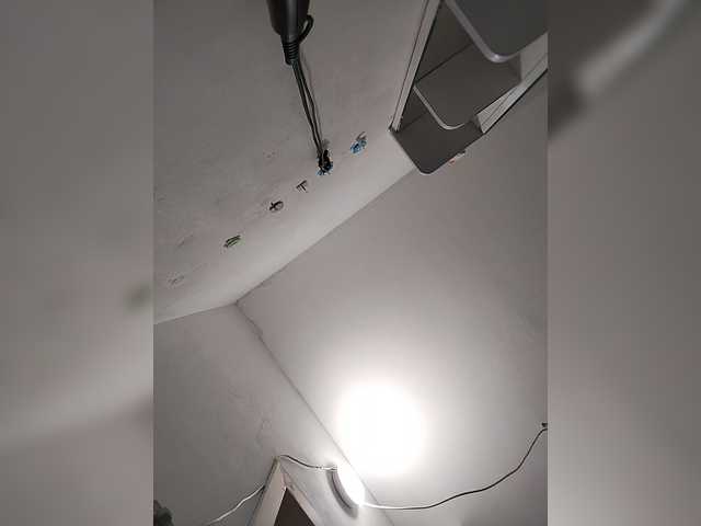 Danilovea – webcam model profile photo