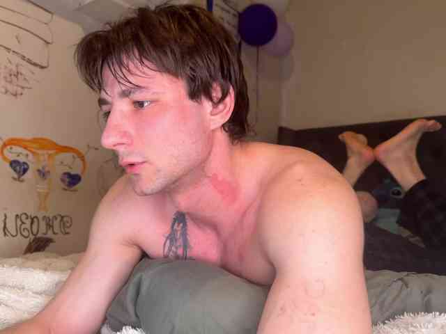 Origamicat Origamicat