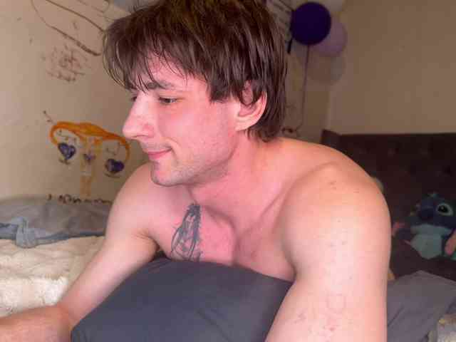 Origamicat Origamicat