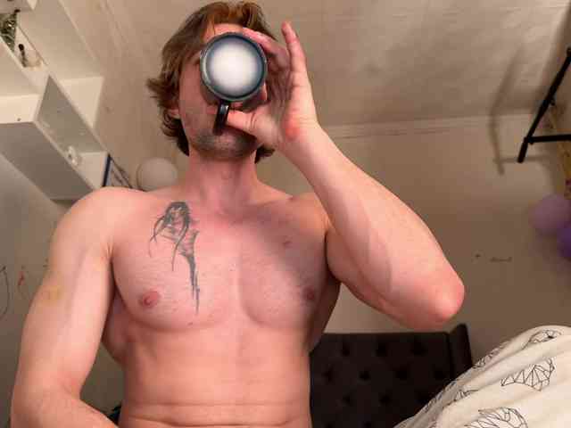 Origamicat Origamicat