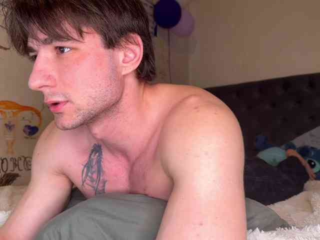 Origamicat Origamicat