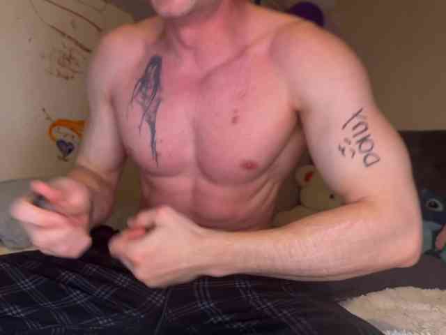 Origamicat Origamicat