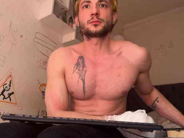 Origamicat Origamicat