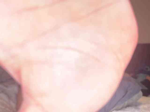 Origamicat Origamicat