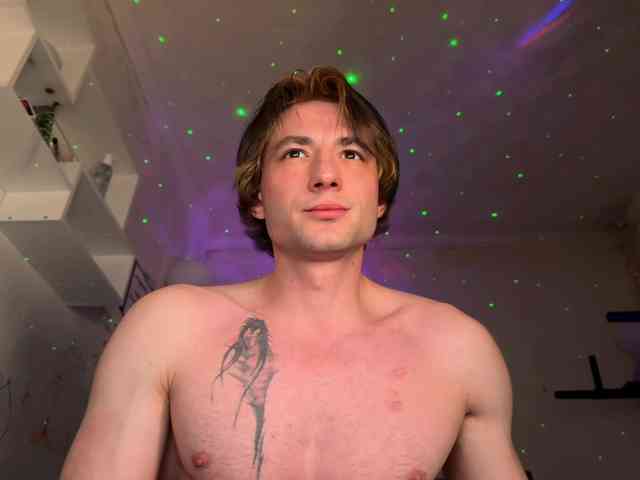 Origamicat Origamicat