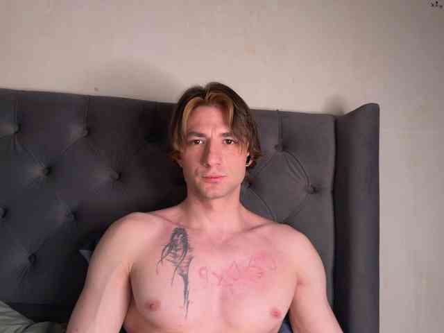 Origamicat Origamicat