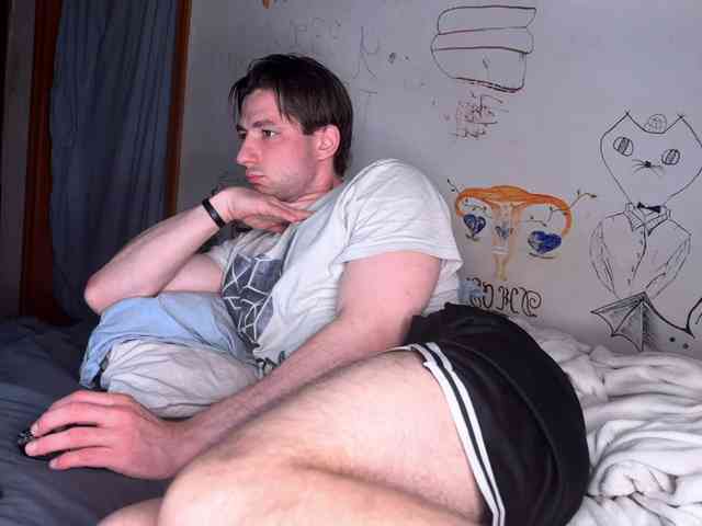 Origamicat Origamicat