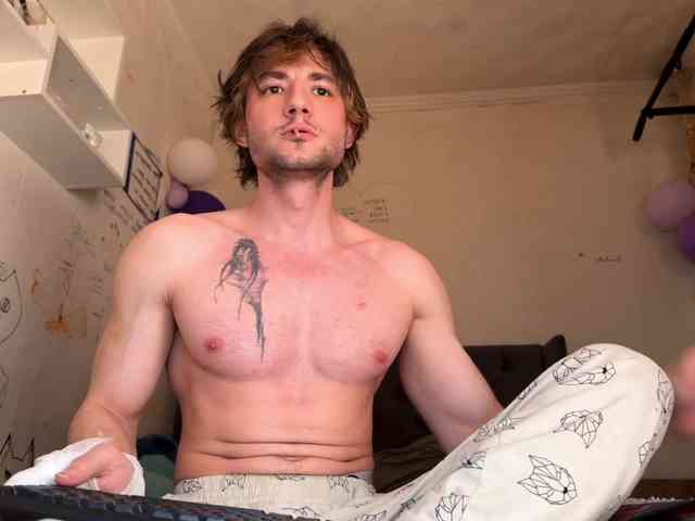 Origamicat Origamicat