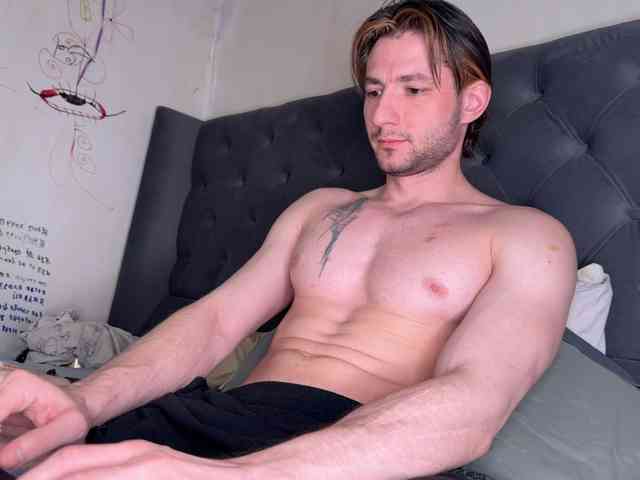 Origamicat Origamicat