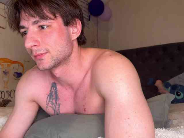 Origamicat Origamicat