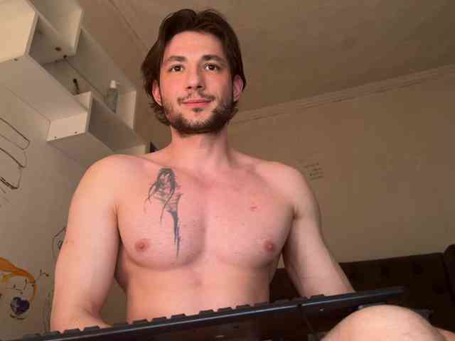 Origamicat Origamicat