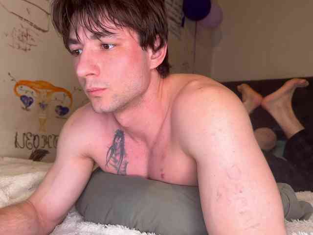 Origamicat Origamicat