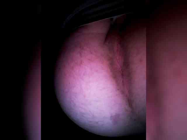 Nikita-21sm Nikita-21sm